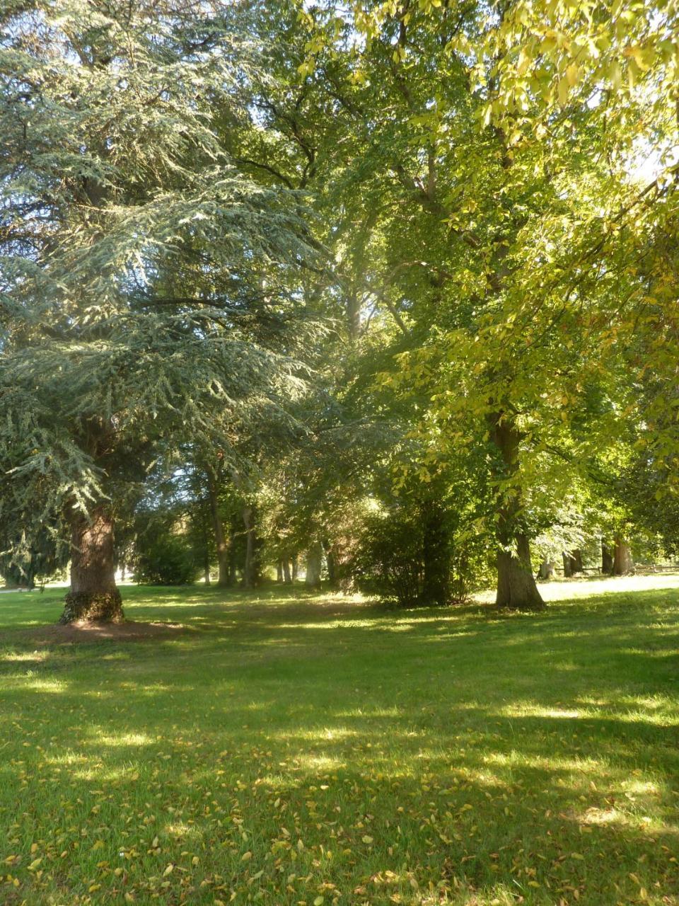Domaine De Chaligny Vandrehjem Saint-Hilaire-en-Morvan Eksteriør billede